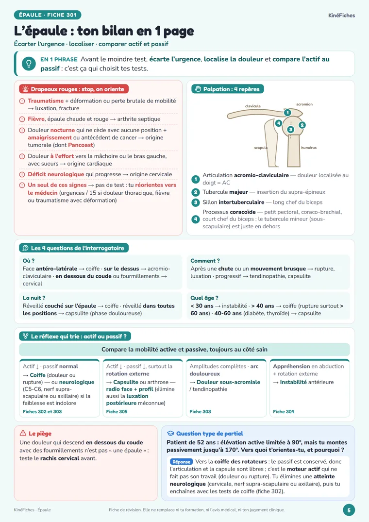 Fiche « L’épaule : ton bilan en 1 page » de KinéFiches