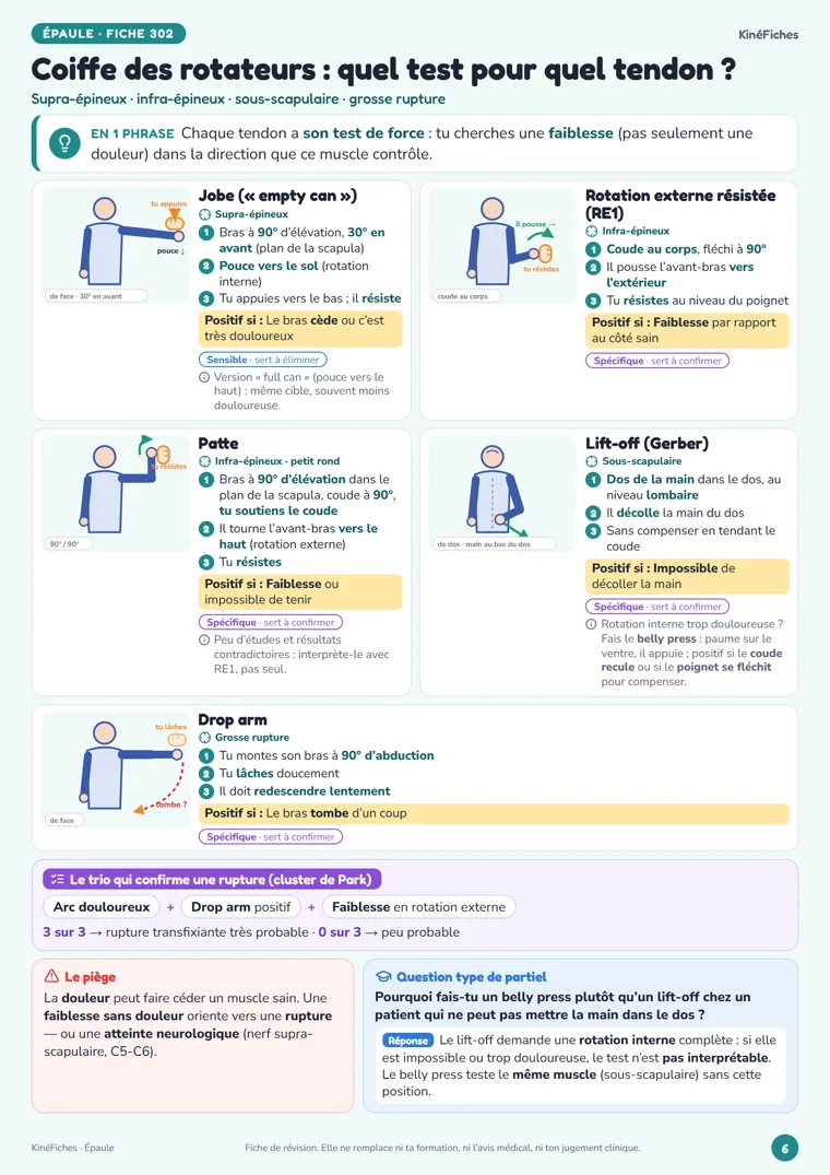 Fiche « Coiffe des rotateurs : quel test pour quel tendon ? » de KinéFiches